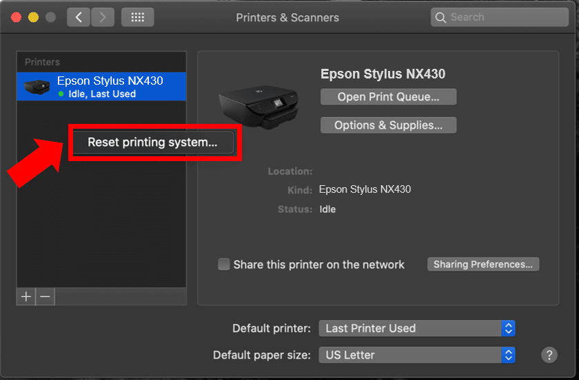 Reset printing system option for Epson Stylus print job.