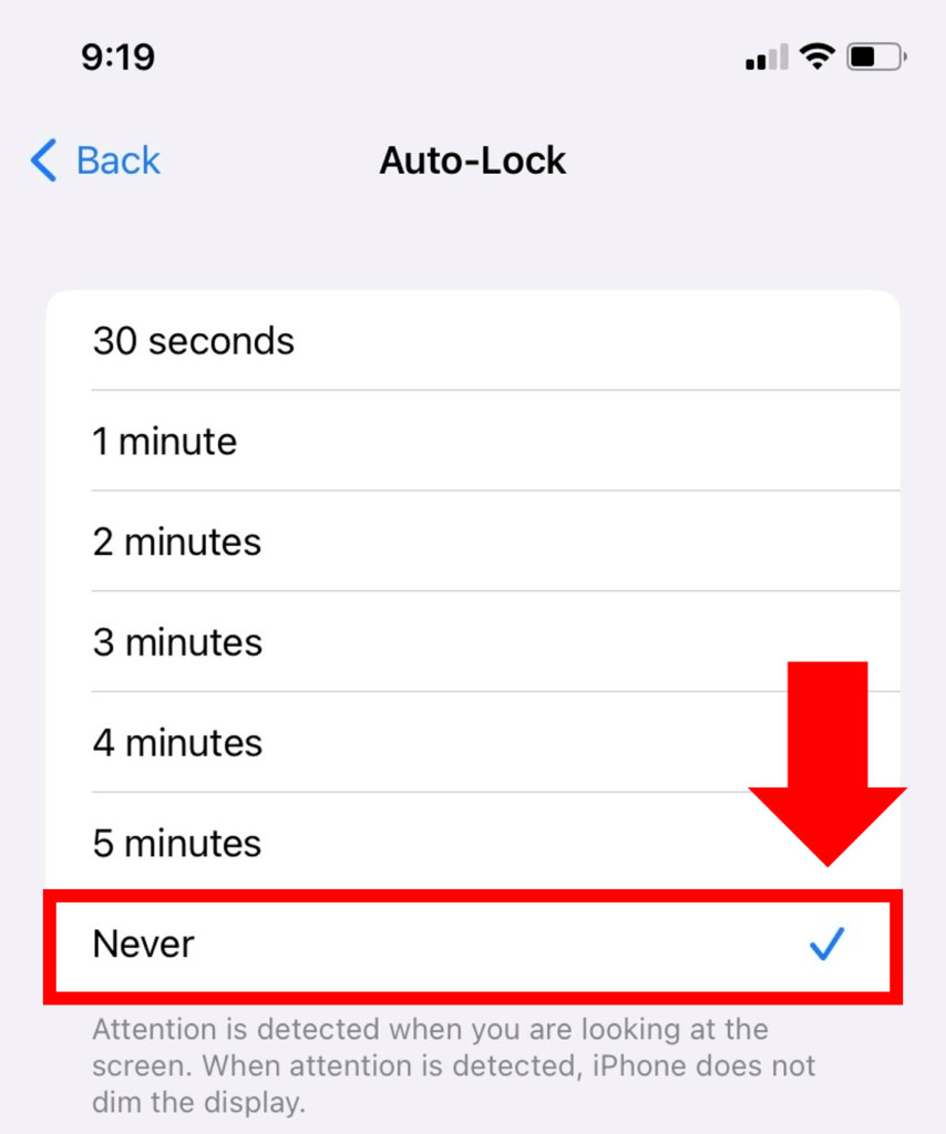 Disable iPhone Auto-Lock