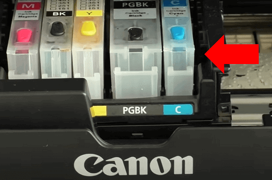 How to clean a Canon printhead